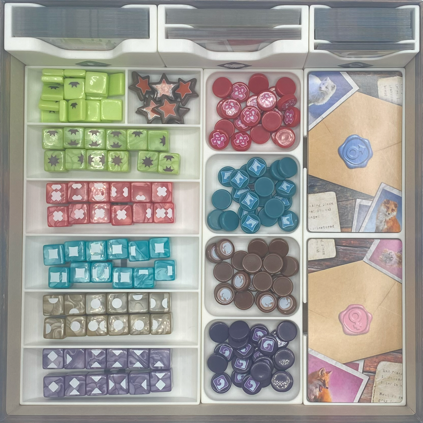 The Fox Experiment + Expansion: Insert / Organizer