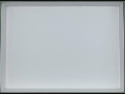 Power Grid (Recharged): Insert / Organizer